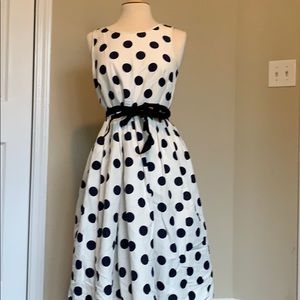 J Crew Polka Dot Dress